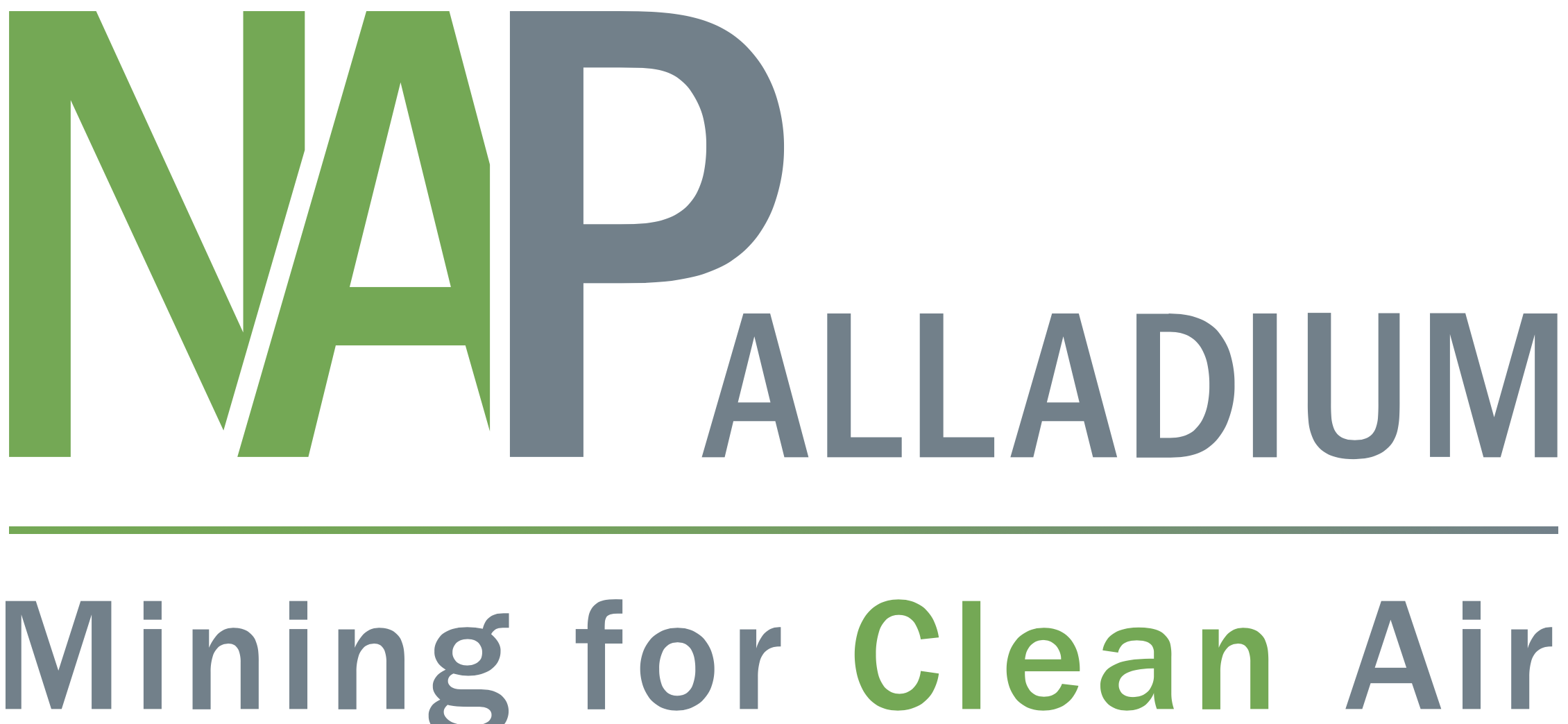 North American Palladium logo